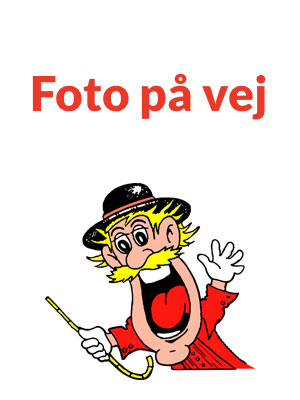 foto-paa-vej
